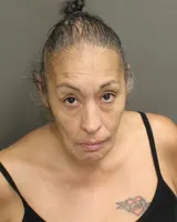 Booking photo for CHANCELLOR, GISELA