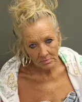 Official booking photo for HAMILTON, MARY ROBIN