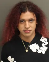 Official booking photo for REYEZ, AVIANA ELIZABETH