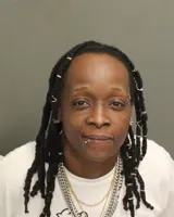 Official booking photo for JOHNSON, ANN