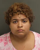 Official booking photo for DIMITRIOWYATT, SARIAH PATRICE