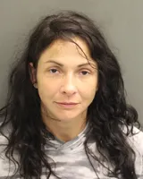 Official booking photo for WALLS, NEWELL ELIZABETH