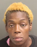 Official booking photo for TURNER, SHONICKA DENISE