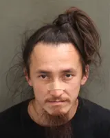 Official booking photo for CAO, ANTHONY LE
